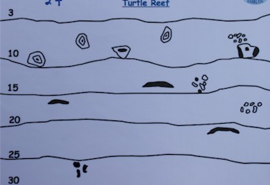 Turtle Reef